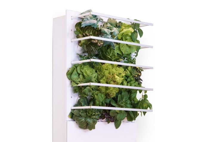 One Device. Endless Fresh Greens