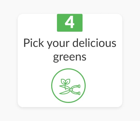Easy-to-Use