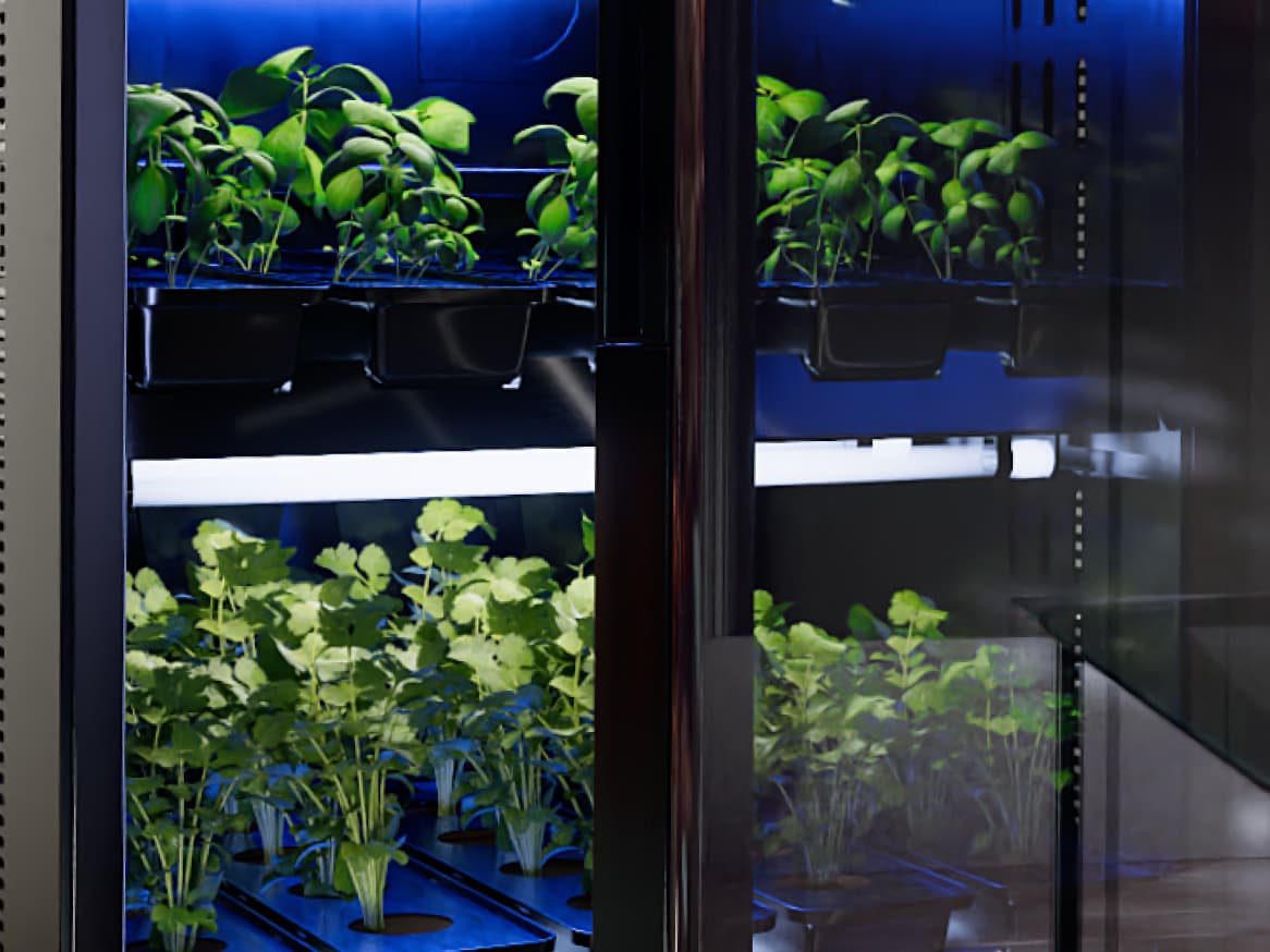 Agwa: Your Effortless, AI-Assisted Home Garden