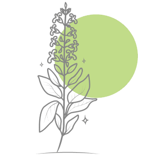 Sage Oil