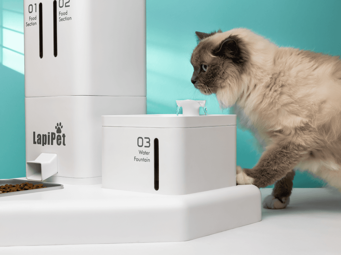 Lapi Pet: 3-in-1 Feeder, Water Dispenser & AI Camera