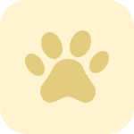 Prey Detection via Camera