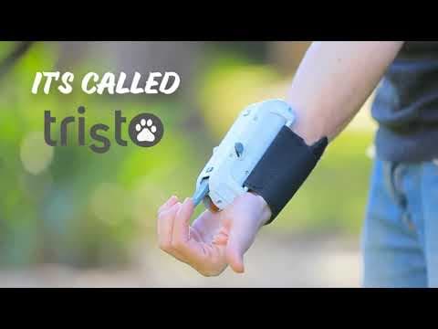 Tristo: The Dog Training Game-changer