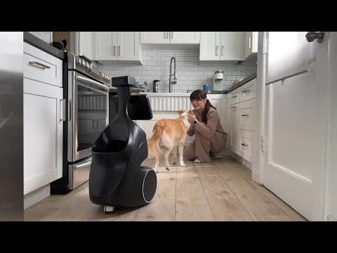 Pre-order | ORo Dog Companion Robot