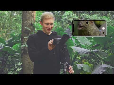 Excope DT1: Your Lightest Ultra-Telephoto Camera
