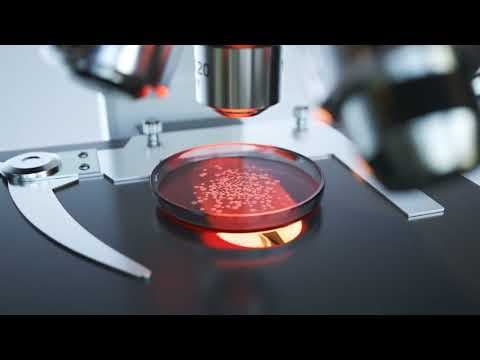 Discover Microbiology at Home–1000+ DIY Experiment