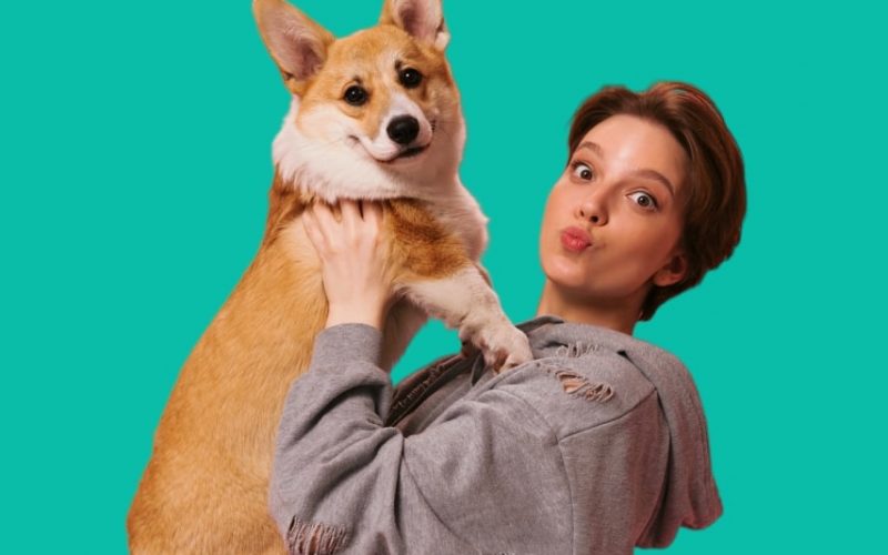 Pet Industry Market Research